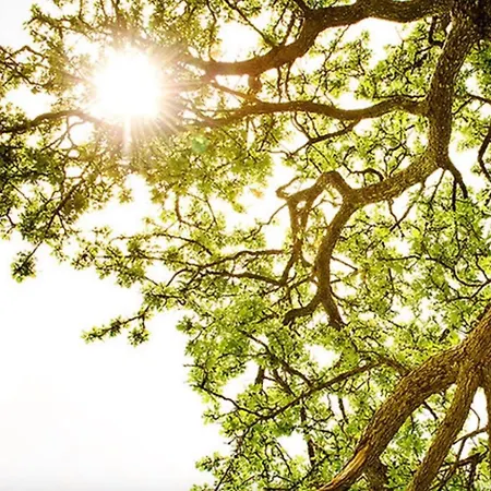 Haus Ferien-und Seminarhaus Feriehus Urberg
